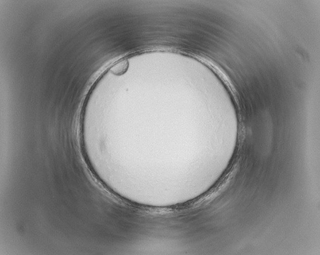 X0000115150957200912081344