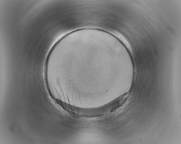 X0000115150958200912081344