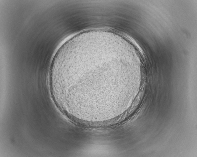 X0000115150959200912081344