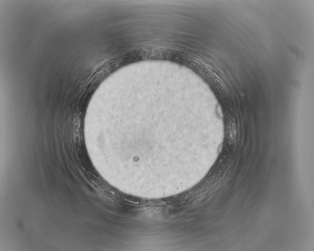 X0000115150964200912081343