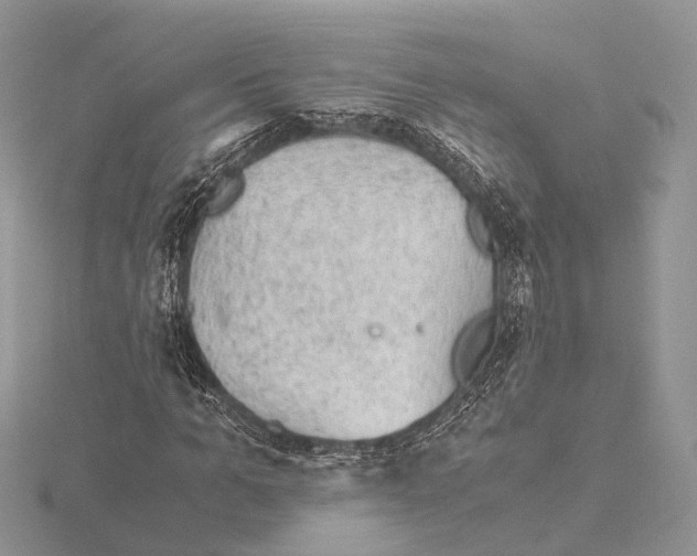 X0000115150965200912081343