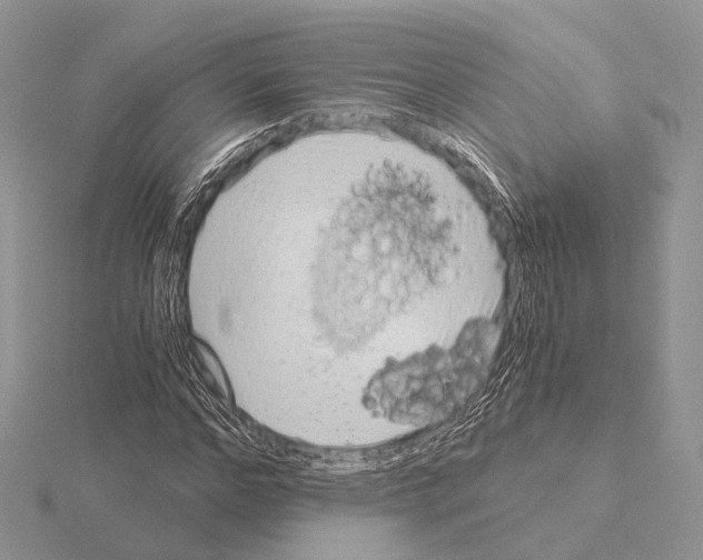 X0000115150968200912081343