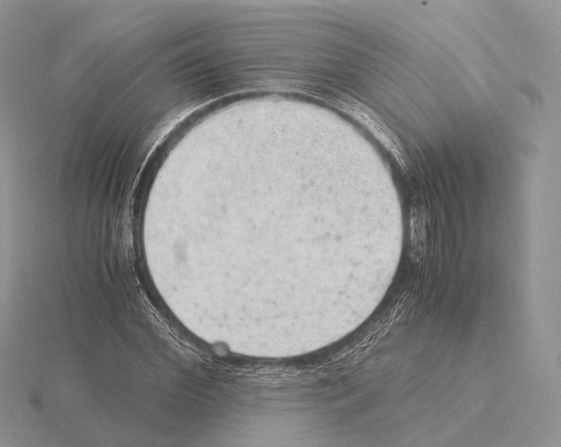 X0000115150972200912081343