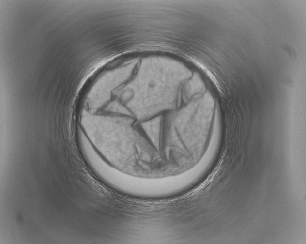 X0000115150973200912081343