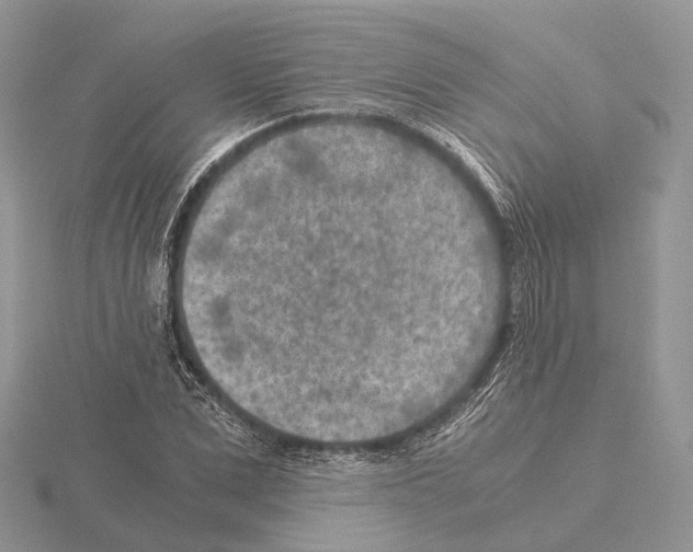 X0000115150975200912081343