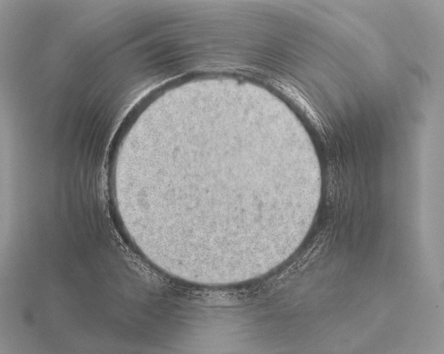 X0000115150976200912081343