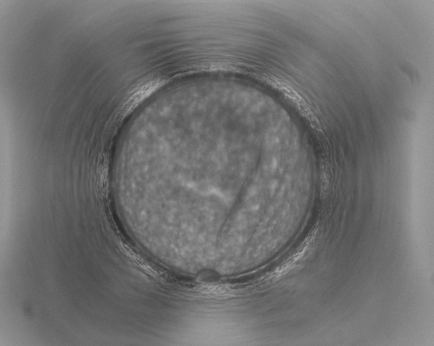 X0000115150977200912081343