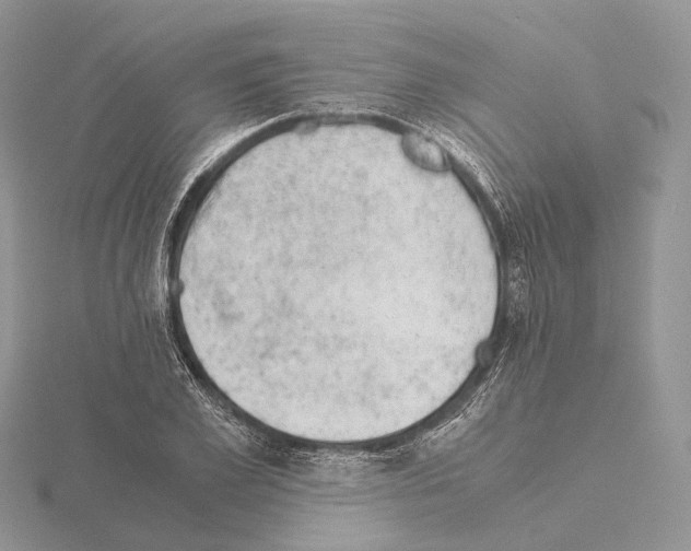 X0000115150981200912081343