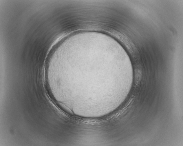 X0000115150982200912081343