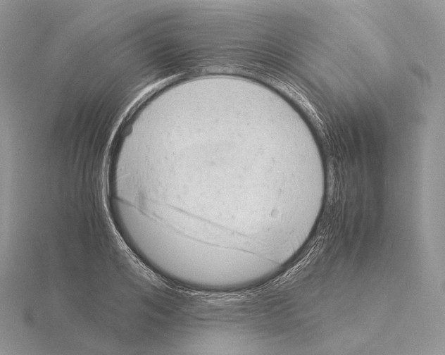 X0000115150984200912081343