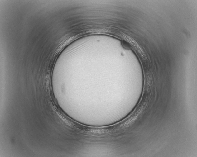 X0000115150985200912081343