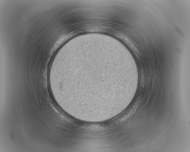 X0000115150986200912081343