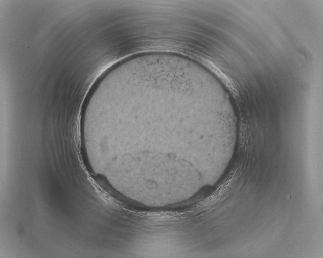 X0000115150988200912081343