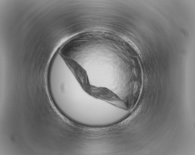 X0000115150989200912081343