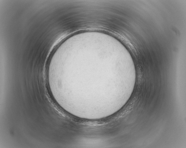 X0000115150990200912081343