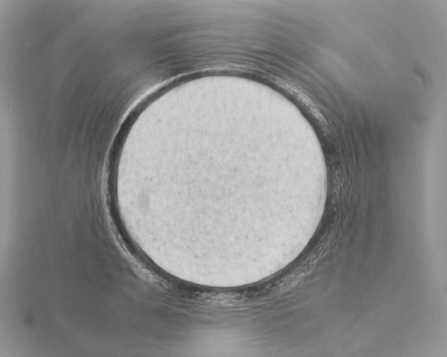 X0000115150991200912081343