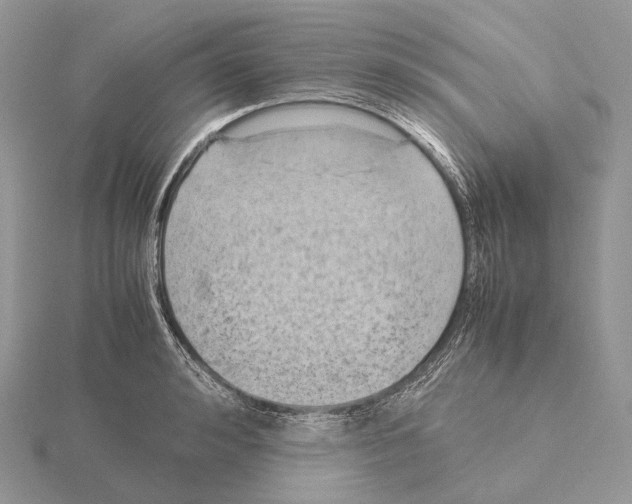 X0000115150992200912081343