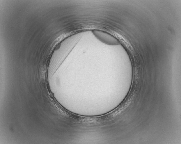 X0000115150993200912081343