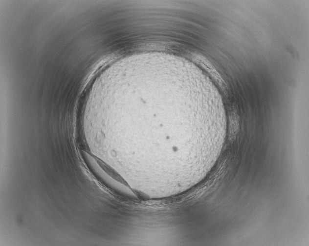 X0000115150994200912081343