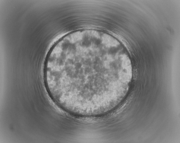 X0000115150995200912081343