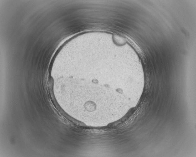 X0000115150996200912081343