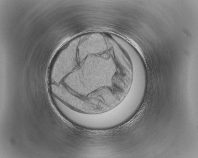 X0000115150997200912081343