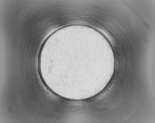 X0000115150999200912081343