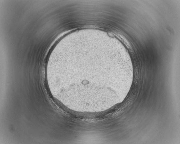 X0000115151000200912081343