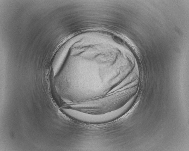 X0000115151001200912081343