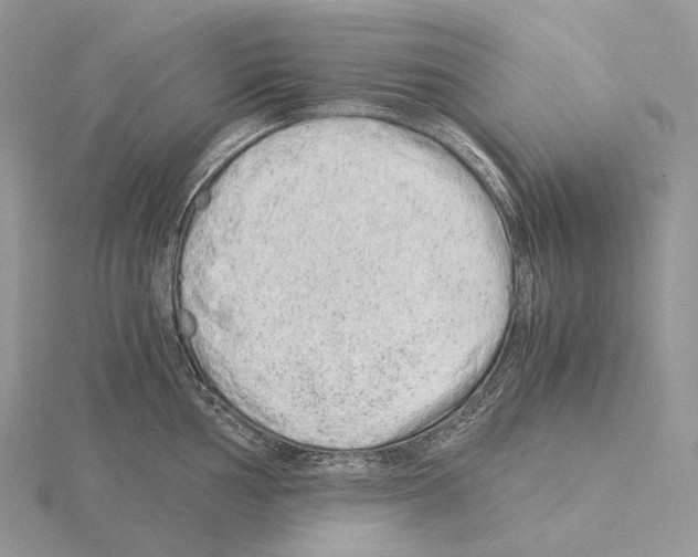 X0000115151002200912081343