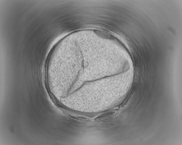 X0000115151003200912081343