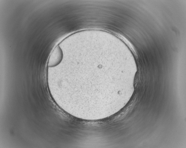 X0000115151004200912081343