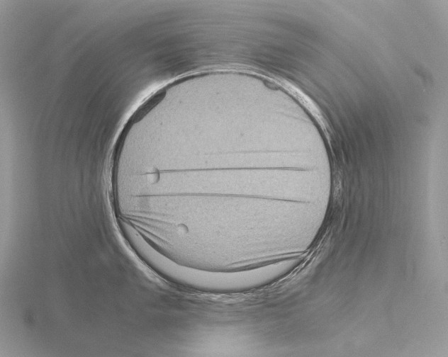 X0000115151005200912081343