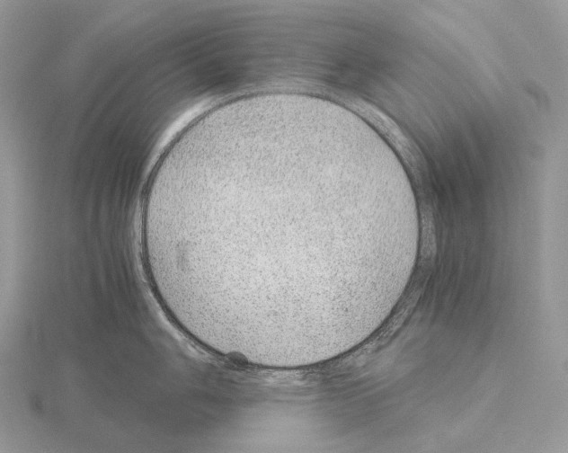 X0000115151006200912081343