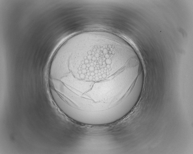 X0000115151008200912081343