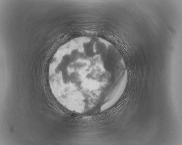 X0000115151009200912081342