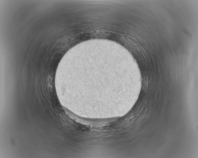 X0000115151010200912081342