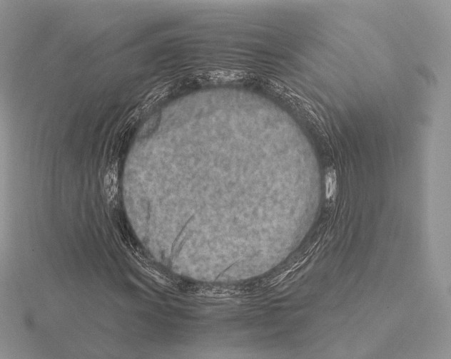 X0000115151011200912081342