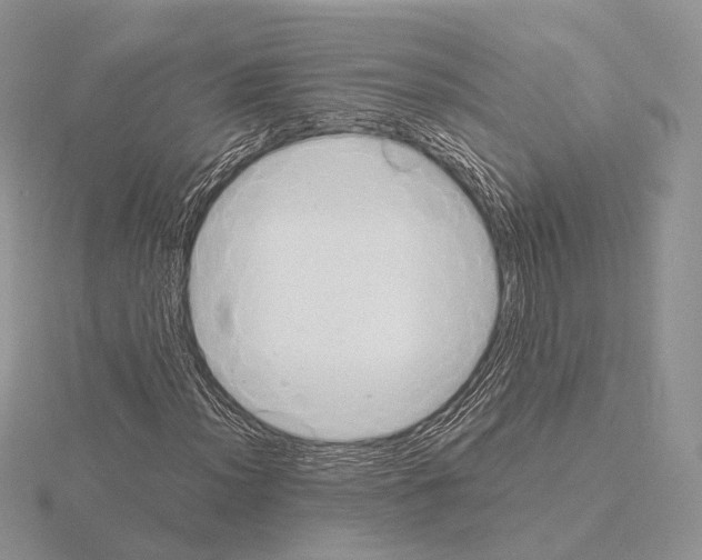 X0000115151012200912081342