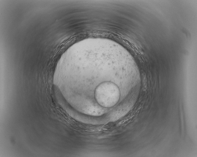 X0000115151013200912081342