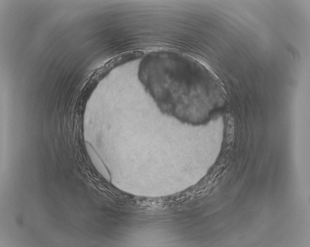 X0000115151016200912081342