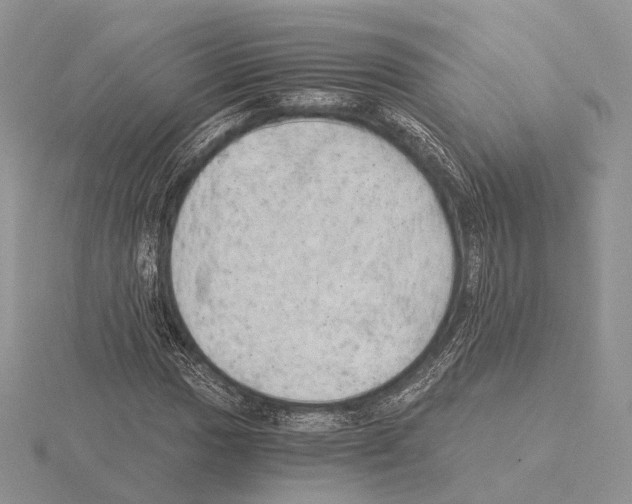 X0000115151017200912081342