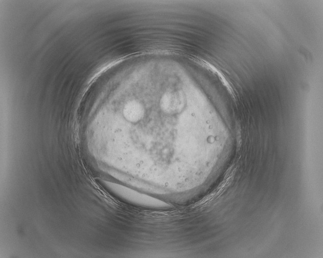 X0000115151019200912081342