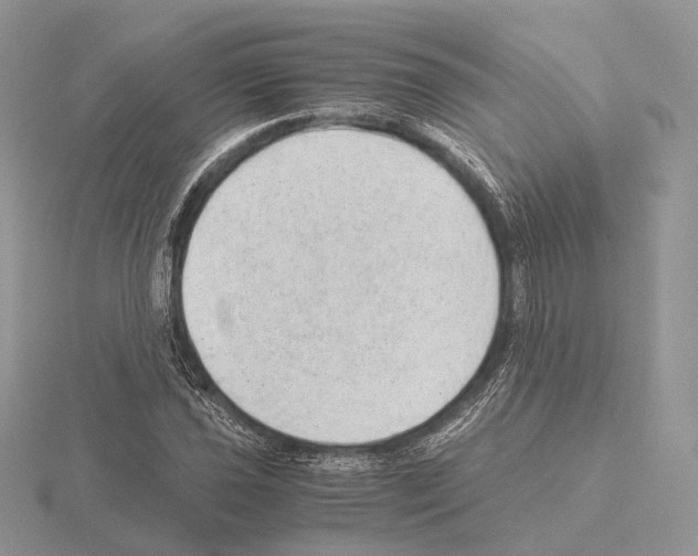 X0000115151021200912081342