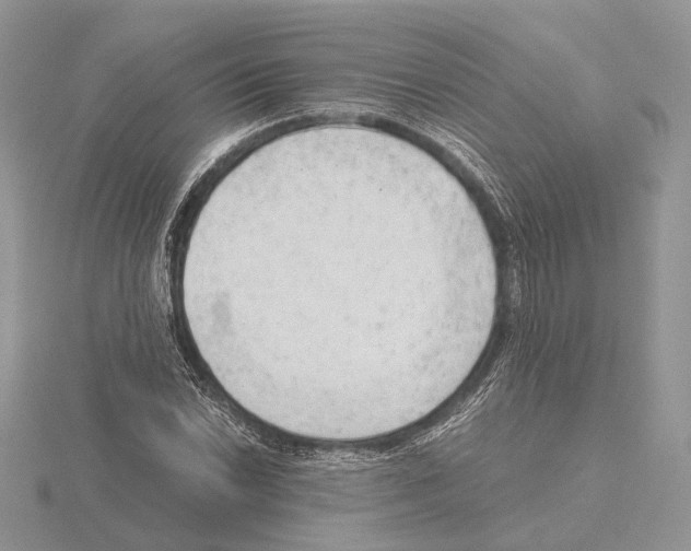 X0000115151022200912081342