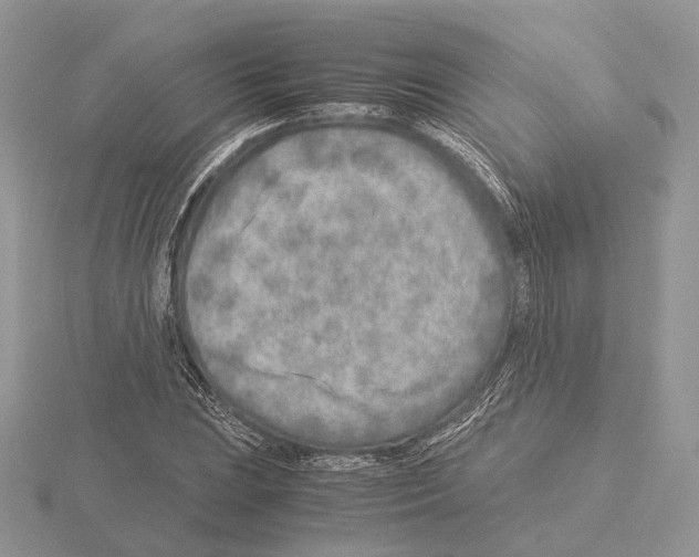 X0000115151023200912081342