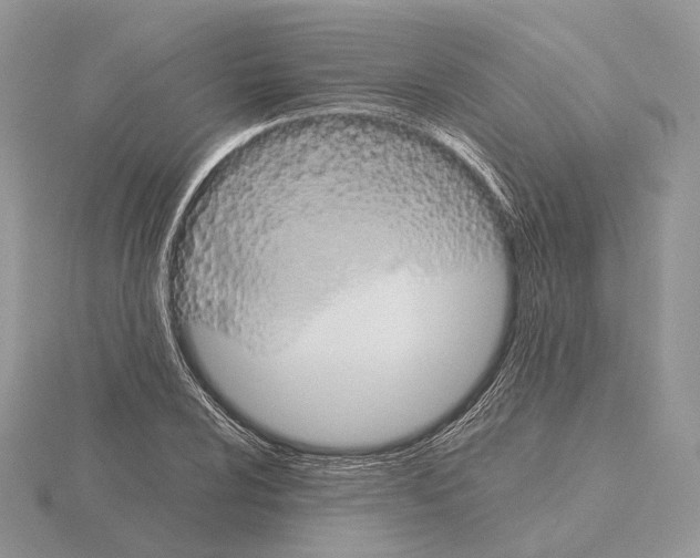 X0000115151024200912081342