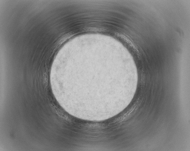 X0000115151025200912081342