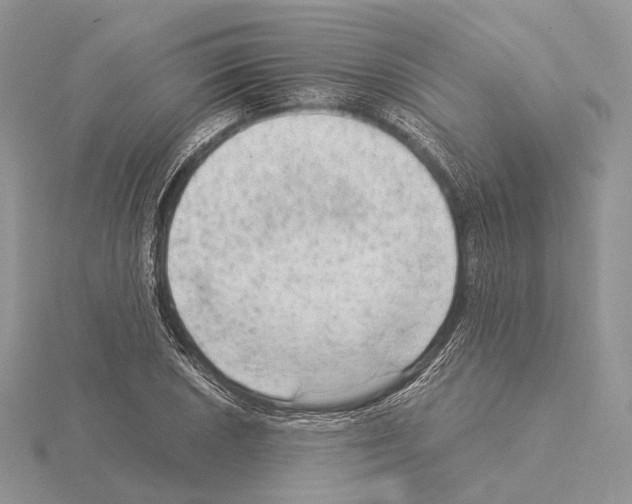 X0000115151026200912081342