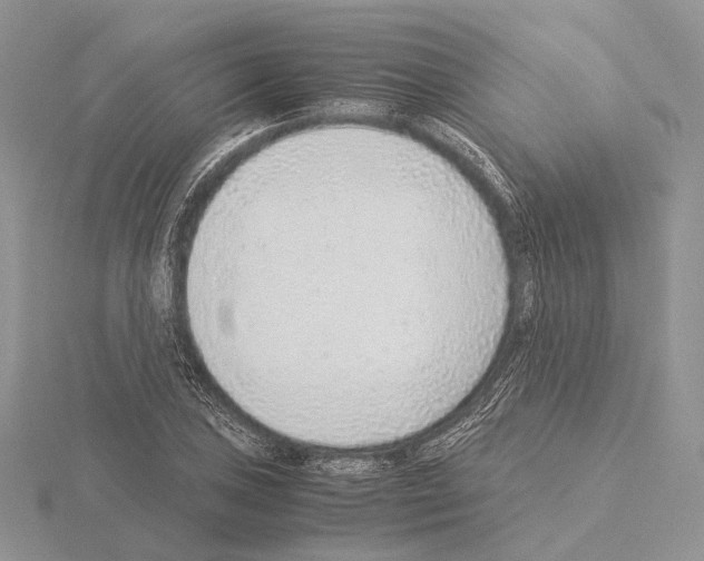 X0000115151027200912081342